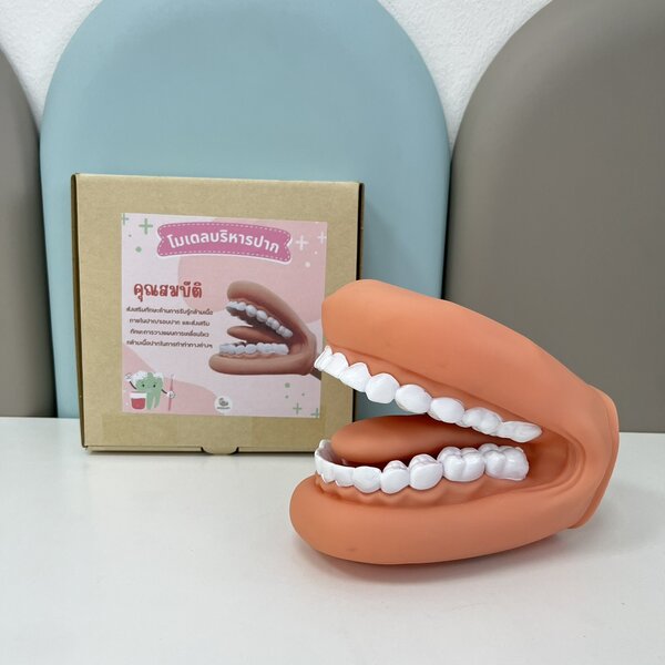 โมเดลบริหารปาก (ฝึกพูด)