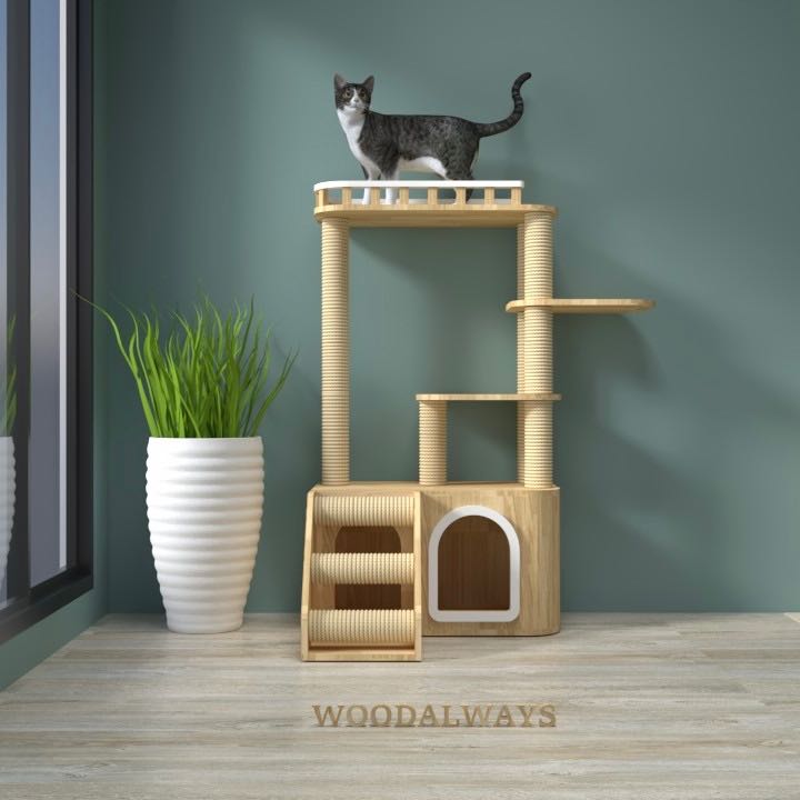 คอนโดแมว | Catcondo-25