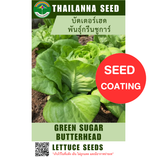 บัตเตอร์เฮด พันธุ์กรีนชูการ์ ( ขนาด 10 กรัม ) ( เมล็ดเคลือบ ) รหัสสินค้า SC 2014