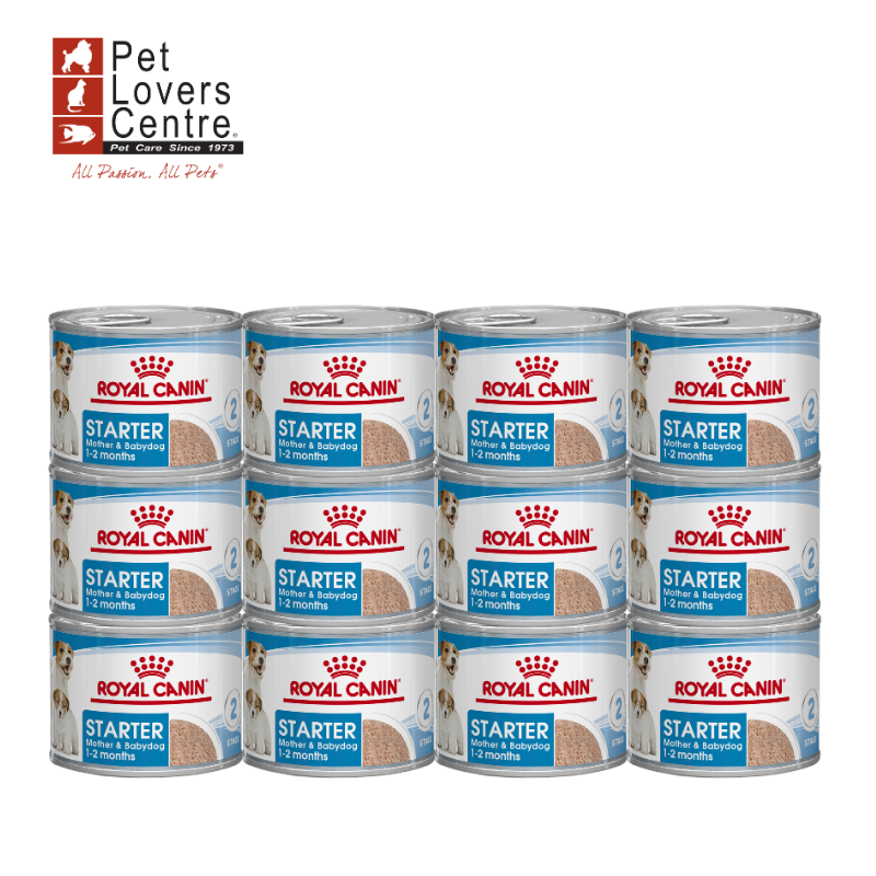 Royal Canin Starter Mousse อาหารสุนัขแบบเปียกชนิดกระป๋อง สำหรับแม่และลูกสุนัข 195 g (12 กระป๋อง)