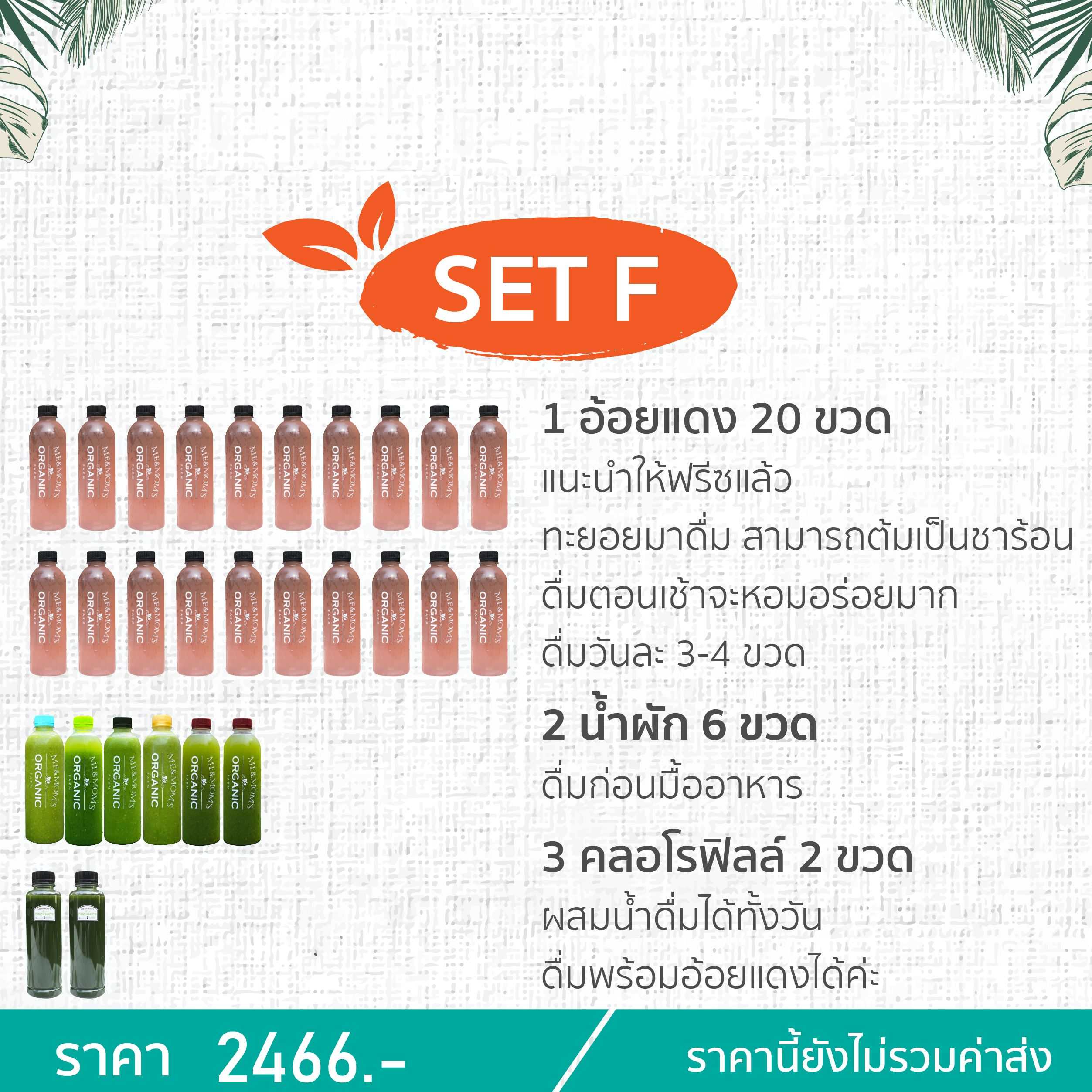 SET F