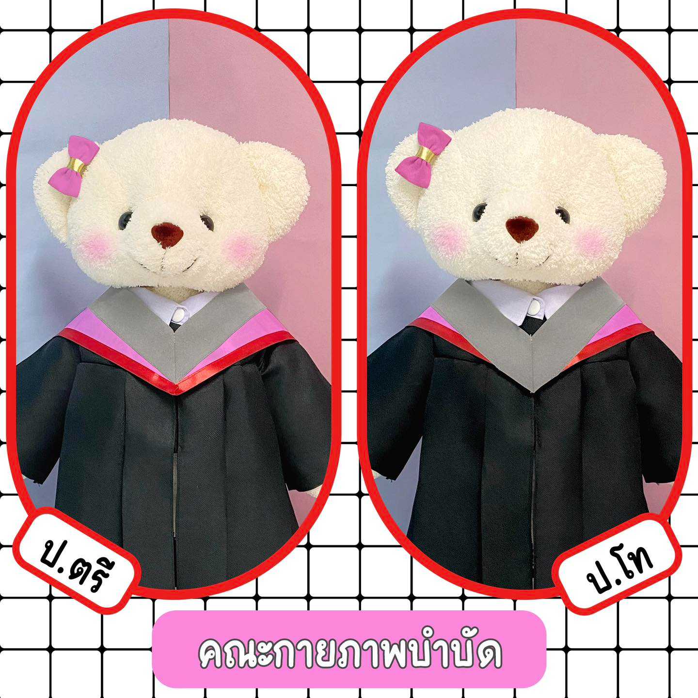 ตุ๊กตาหมีชุดครุย มศว คณะกายภาพบำบัด