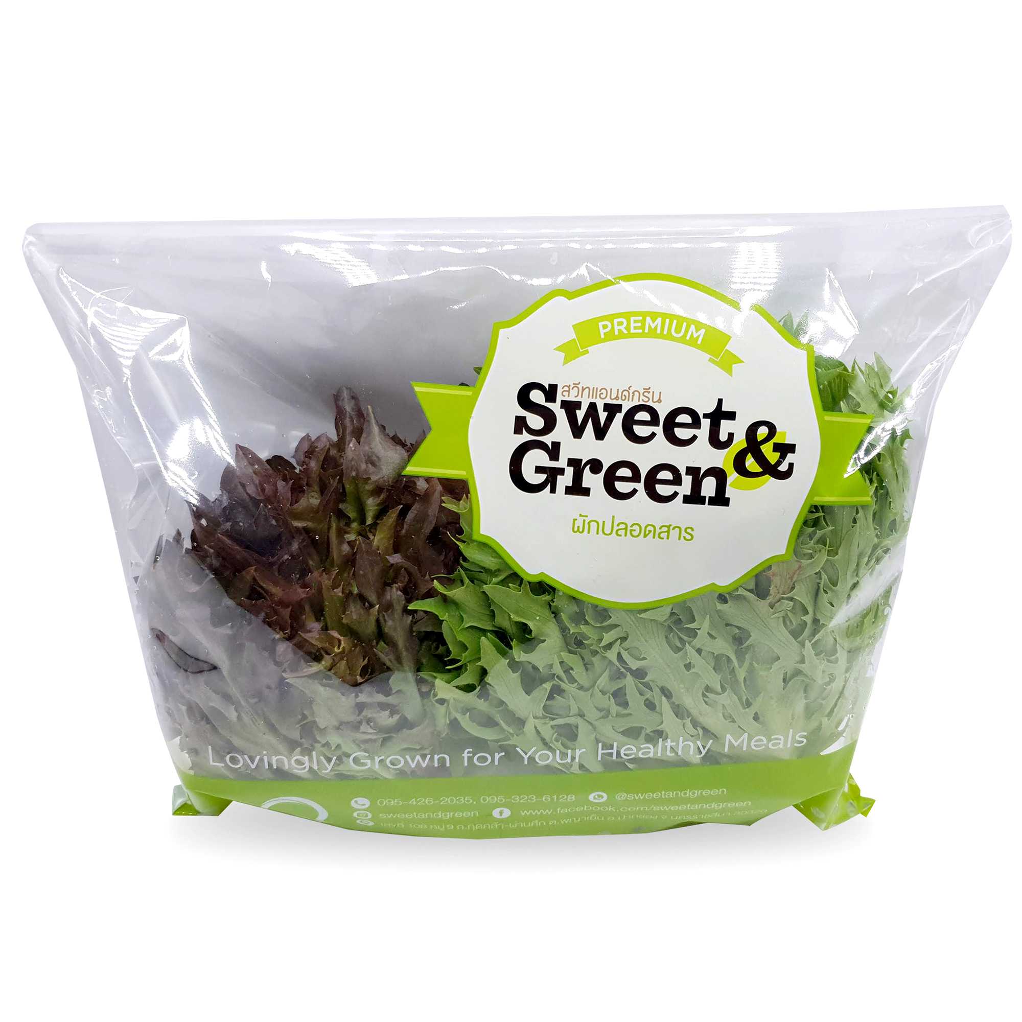 มิกซ์กรีนซาลาโนว่า+เรดซาลาโนว่า (Mix Green Salanova + Red Salanova)