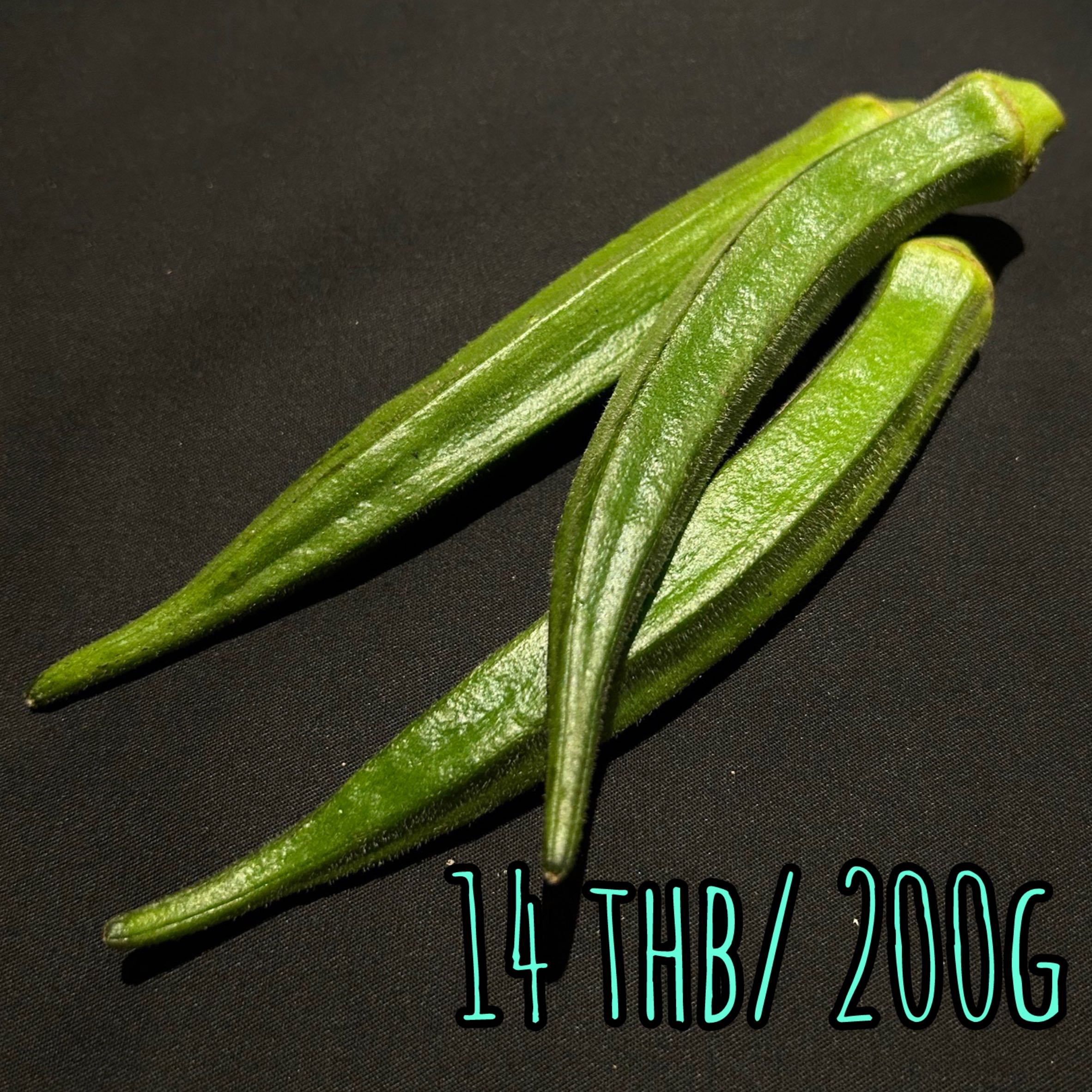 Okra オクラ กระเจี๊ยบเขียว