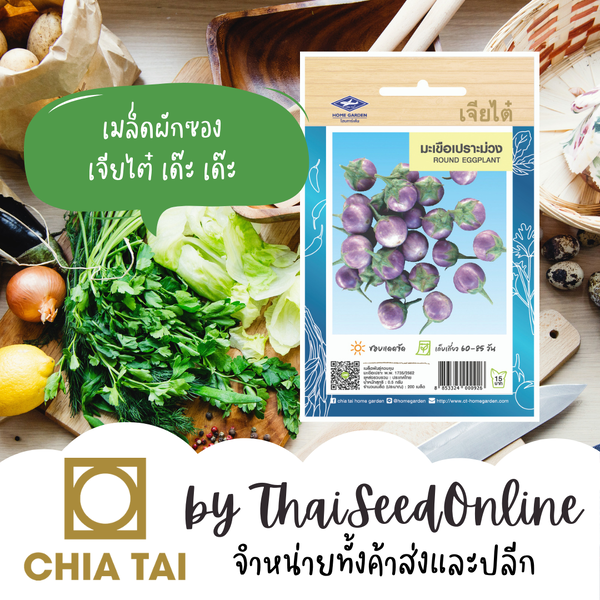 CTOP เมล็ดพันธุ์ มะเขือเปราะม่วง ตราเจียไต๋ Round Eggplant