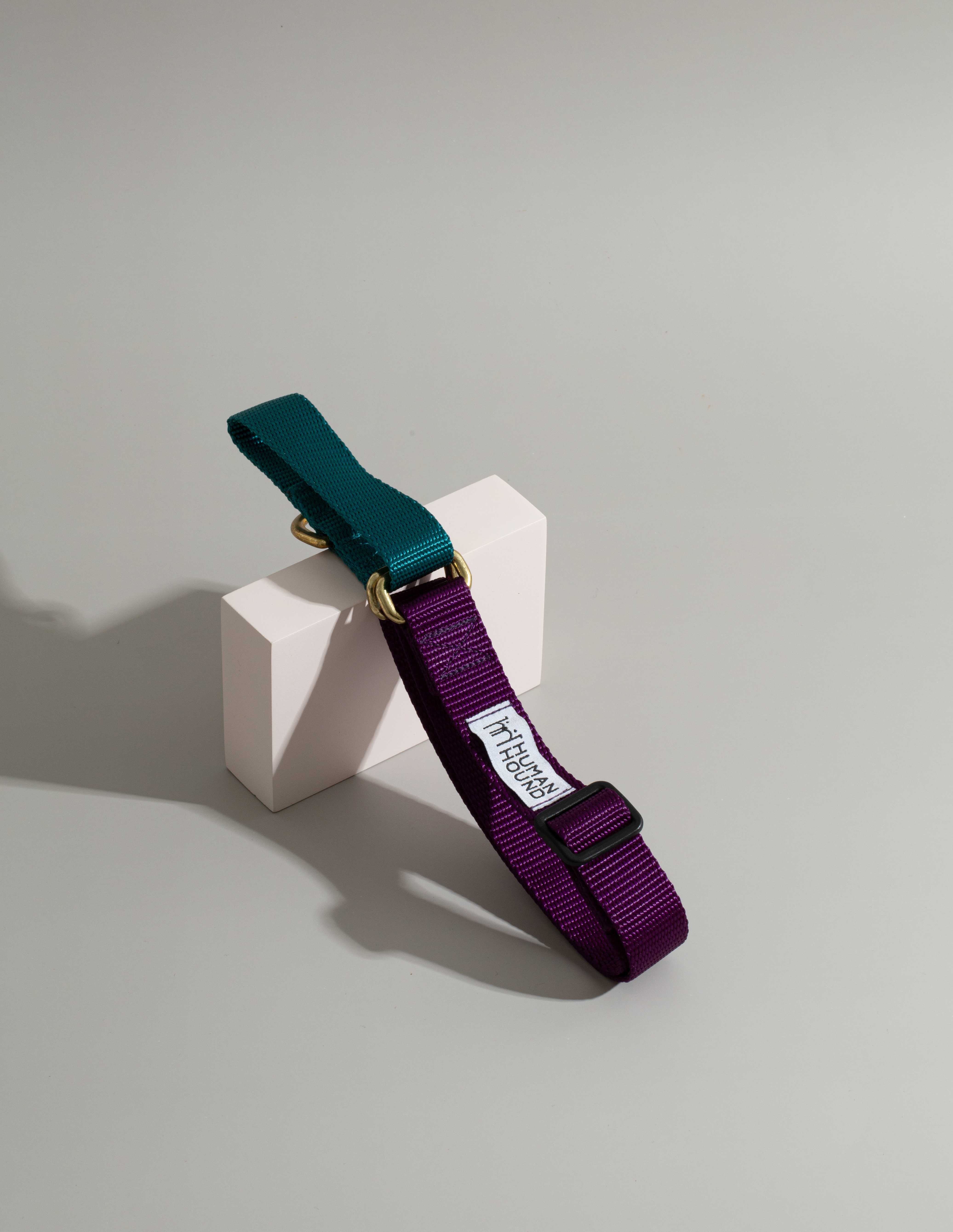 ปลอกคอ Martingale Collar - Turquoise x Purple