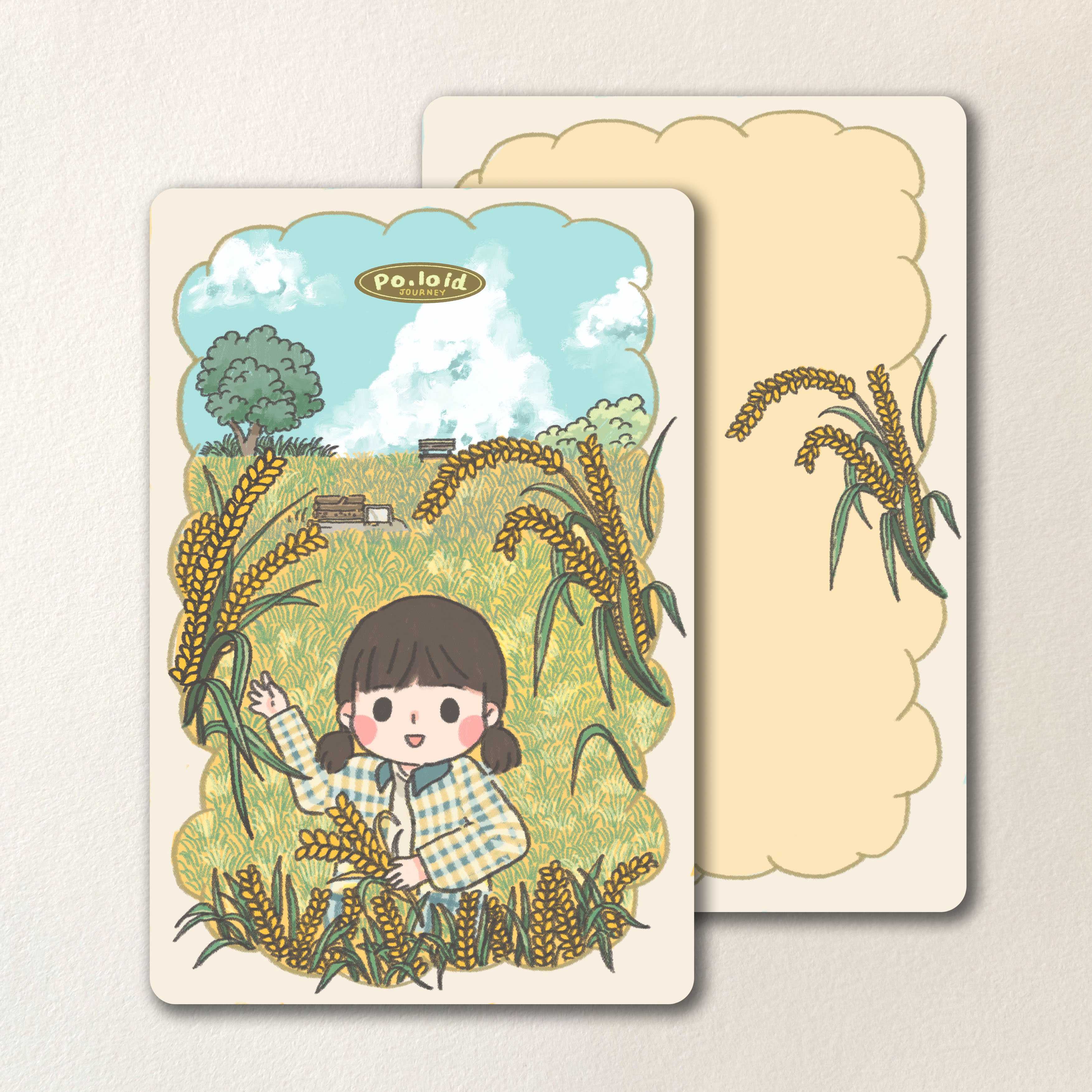 Paddy field postcard