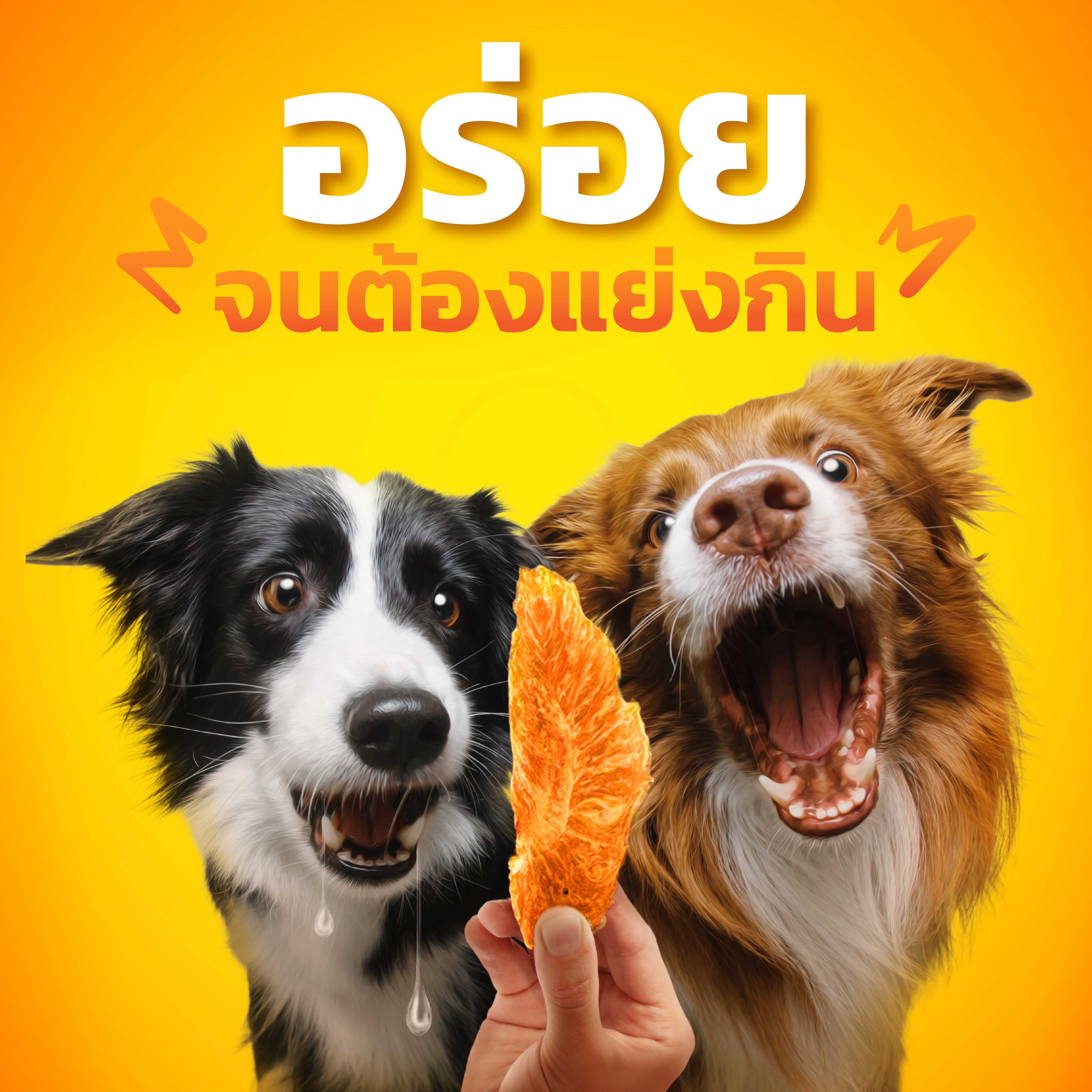 (300กรัม) สันในไก่สไลด์อบแห้ง (ไก่CP เกรดเดียวกับที่คนทาน) ไม่ใส่สารกันเสีย ไม่ใส่สารเพิ่มเติมใดๆ