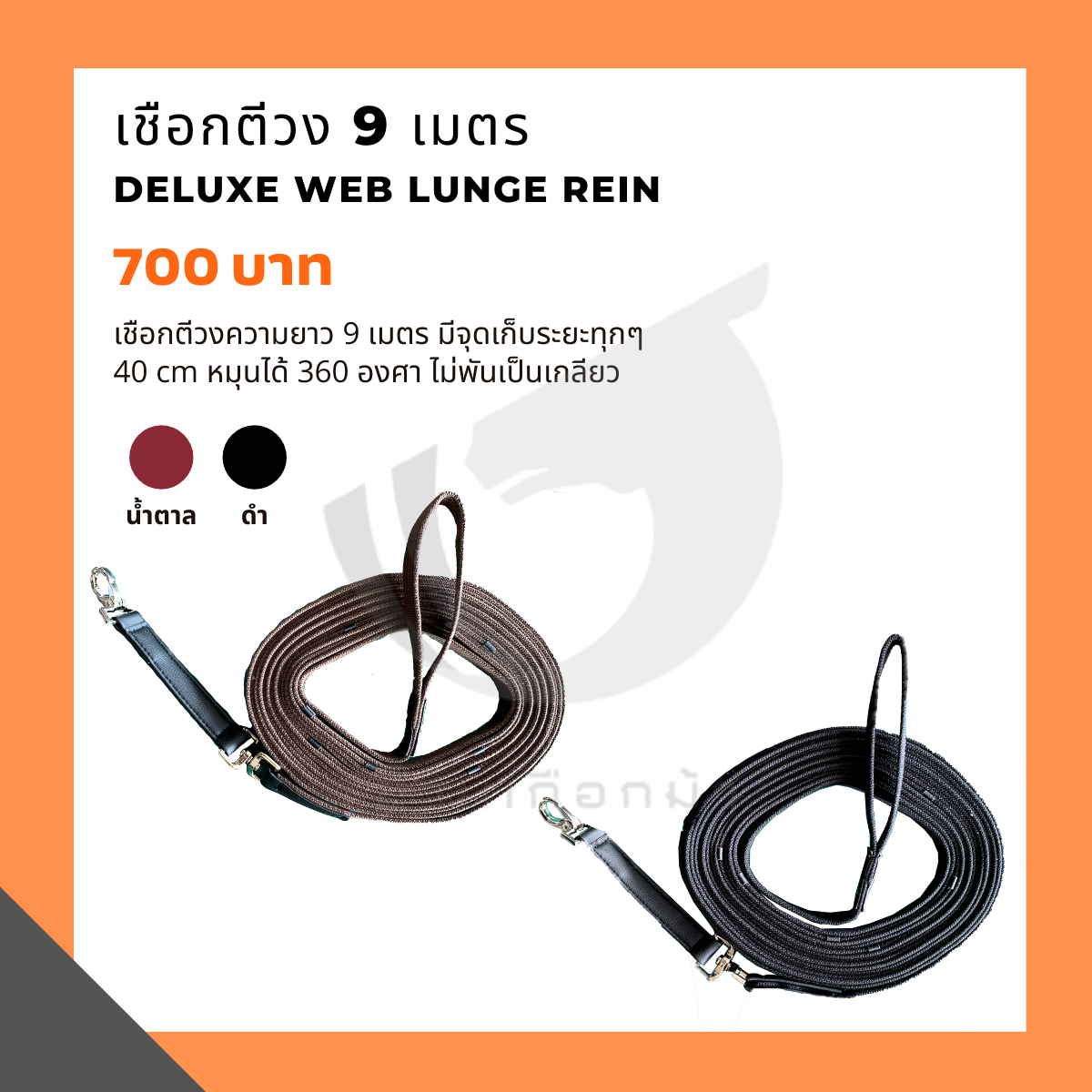 เชือกตีวง 9 เมตร  Deluxe Web Lunge Rein