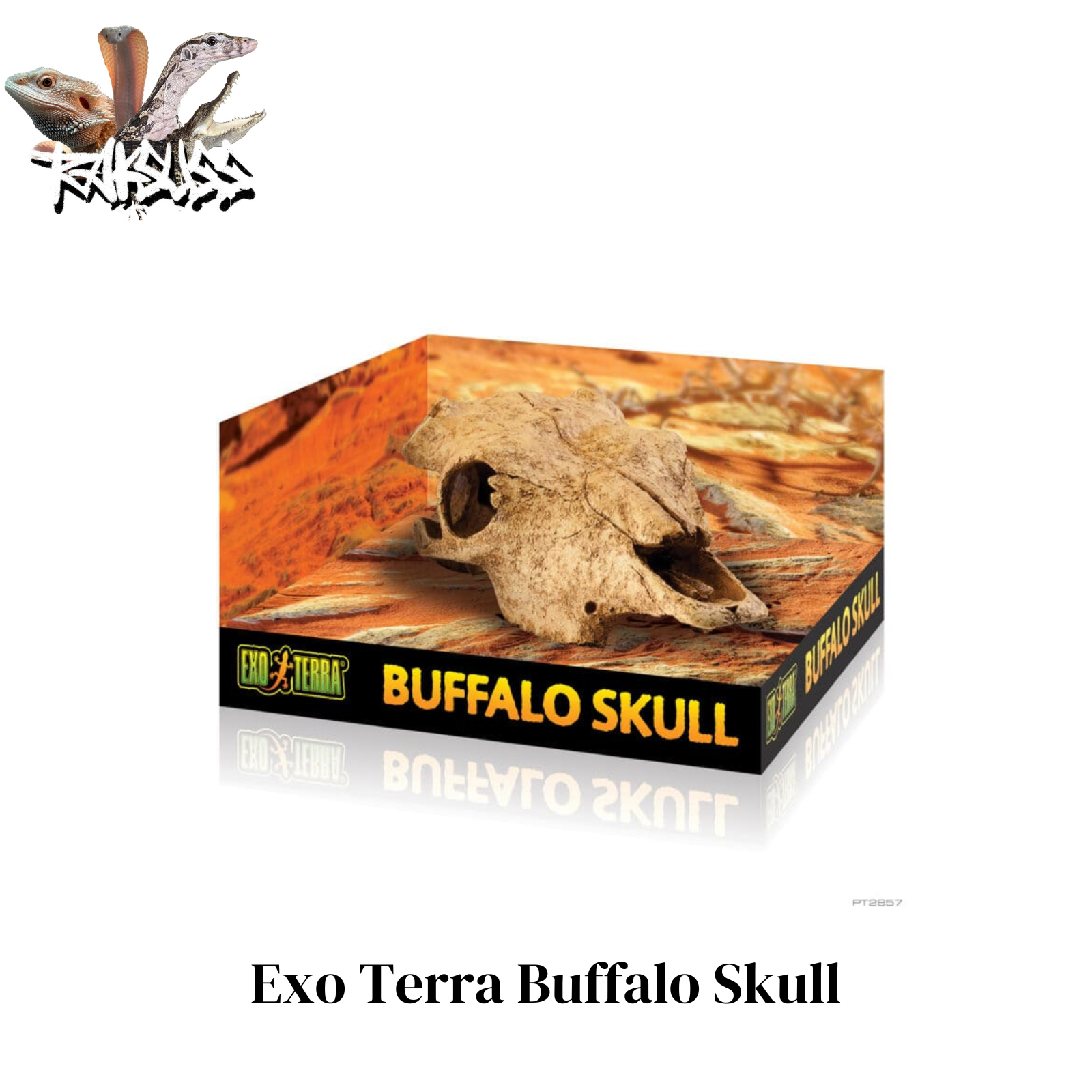 Exo Terra Buffalo Skull