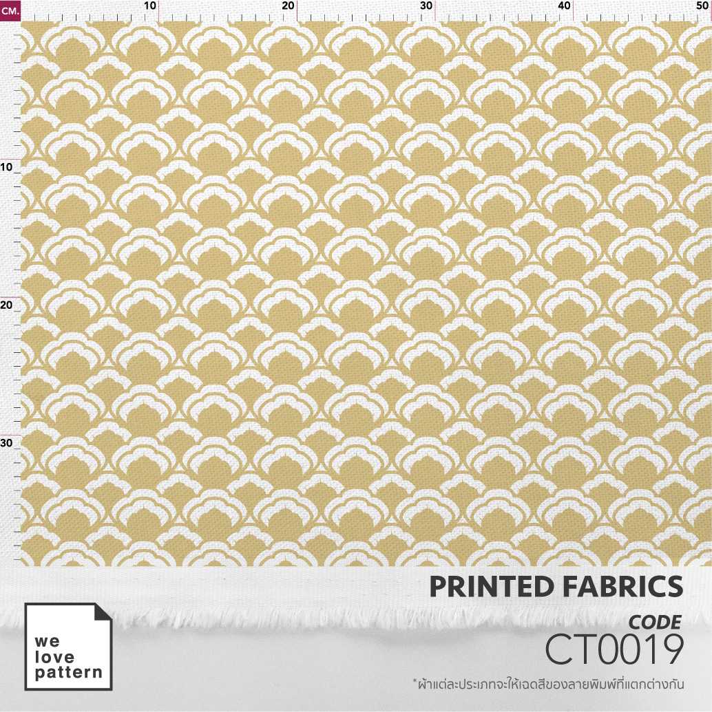 รหัสลาย : CT0019