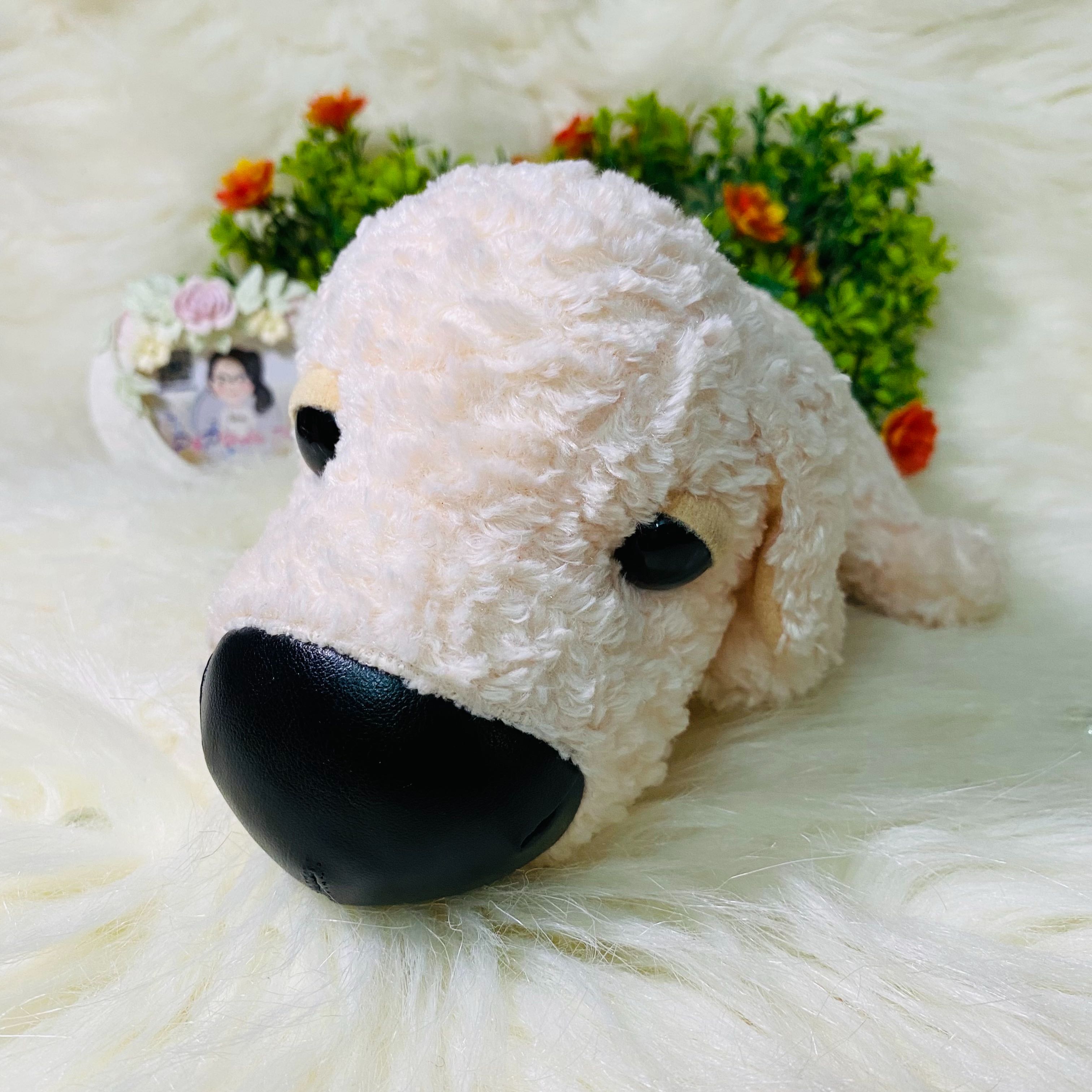 The Dog