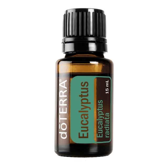 Eucalyptus - ยูคาลิปตัส -  25 PV