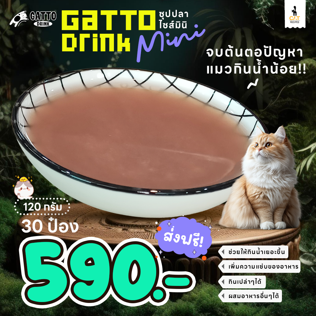 🐟 จบต้นตอปัญหา แมวกินน้ำน้อย ไอเทมใหม่ ซุปปลา ขนาด 120 กรัม ยกลัง 30 ป๋อง