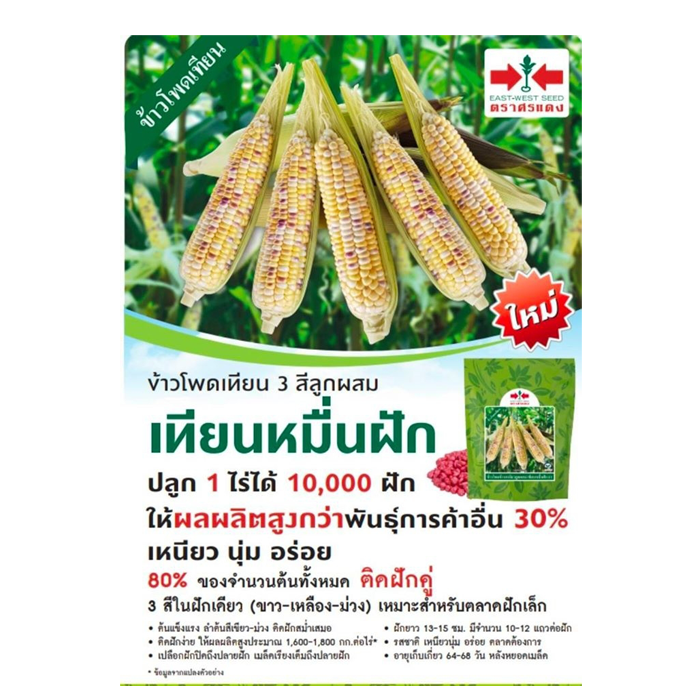 ข้าวโพดข้าวเหนียวเทียนหมื่นฝัก 1 กก.       #เมล็ดพันธุ์สินค้าลดราคากระหน่ำต้อนรับปีใหม่