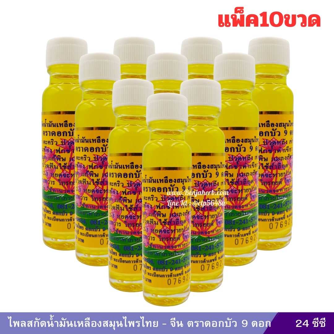 ไพลสกัดน้ำมันเหลืองสมุนไพรไทย – จีน ตราดอกบัว 9 ดอก 24 ซีซี (10 ขวด)