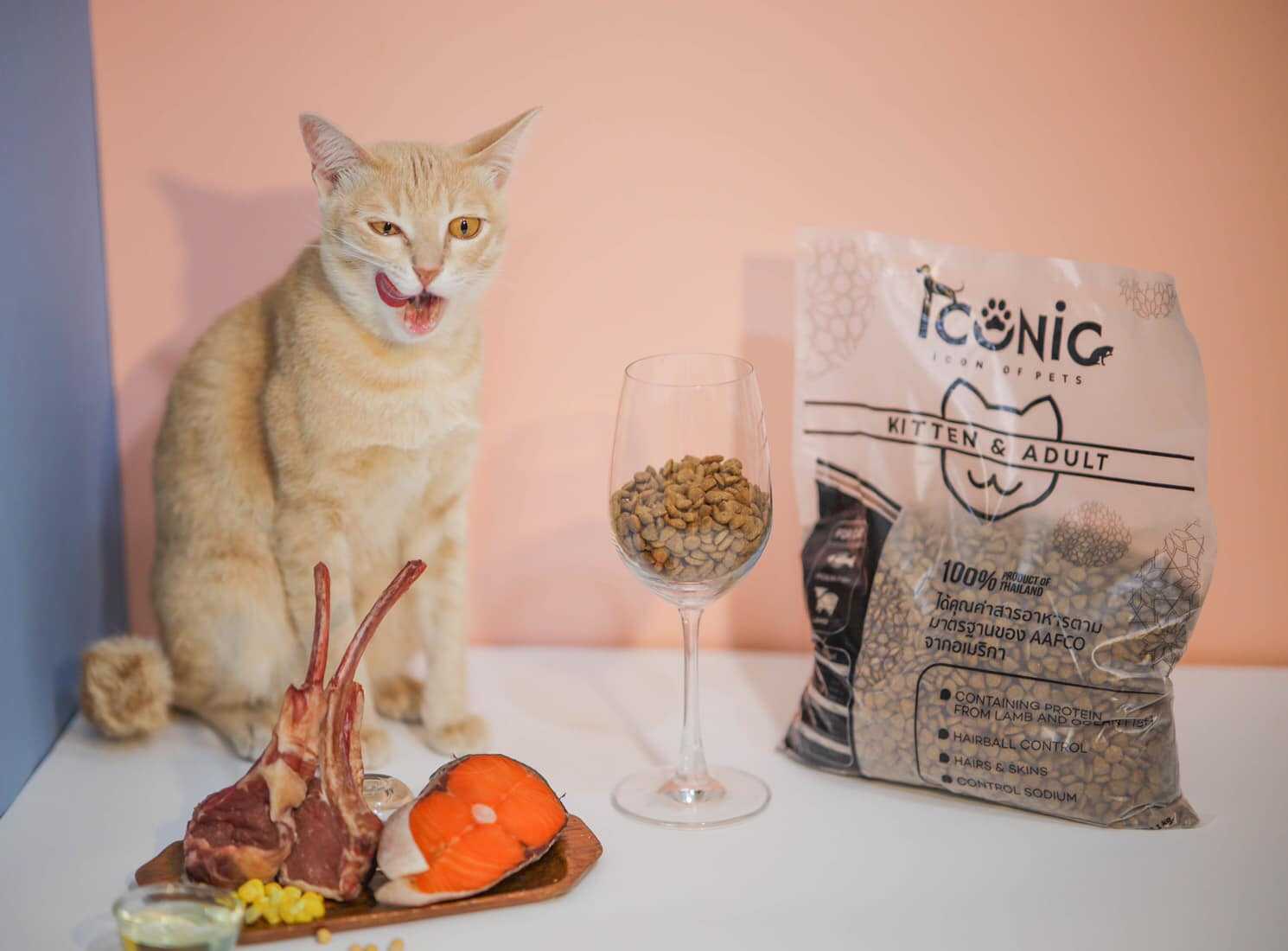 [แบ่งขาย 1Kg] ICONIC Cat Food อาหารลูกแมว-แมวโต เกรดพรีเมียม เนื้อแกะผสมปลาทะเล (1 Kg.)