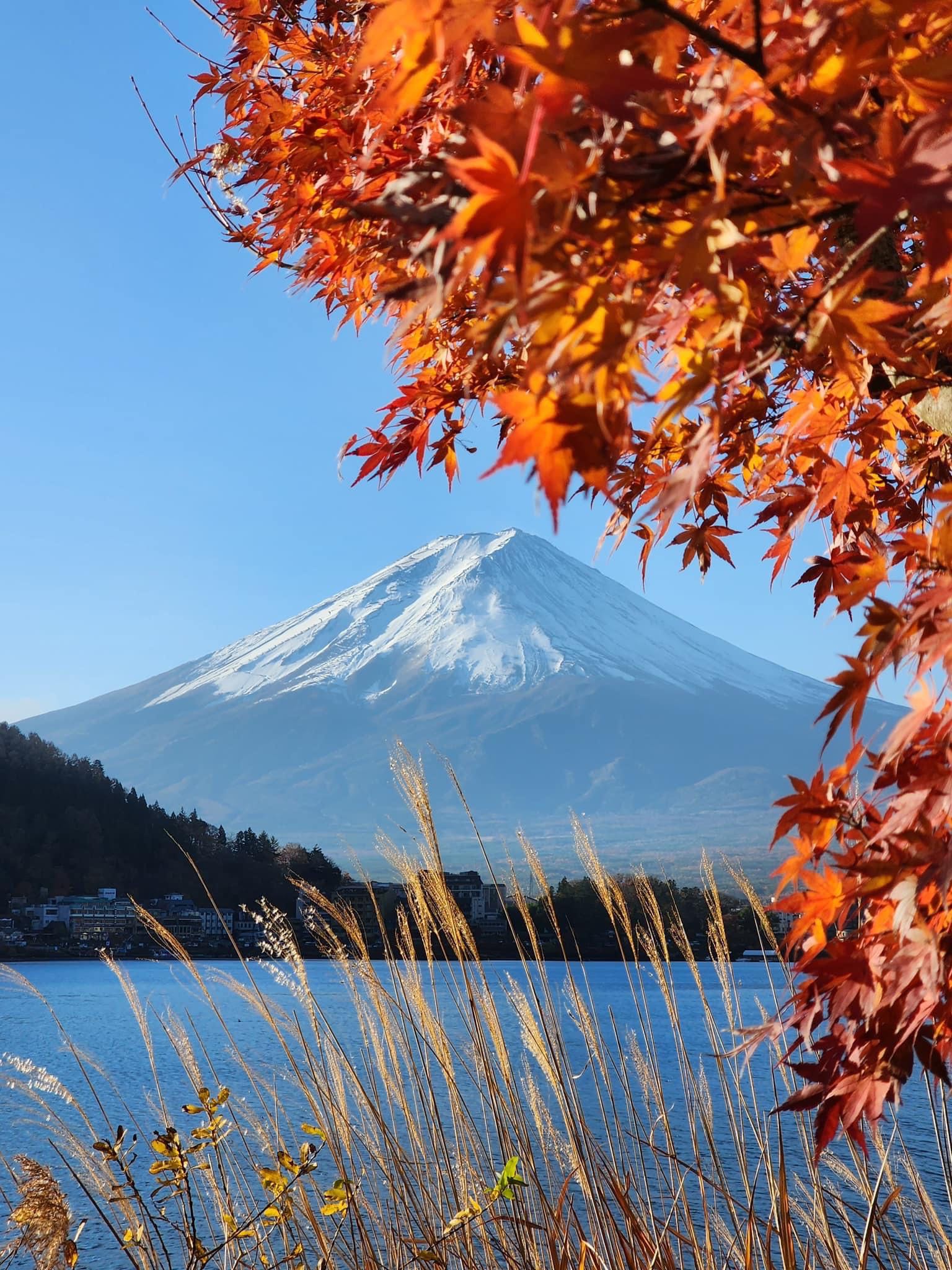 โปรแกรม... Fujisan Marathon2026 - ฟูจิมาราธอน (12-15 Dec 2026)