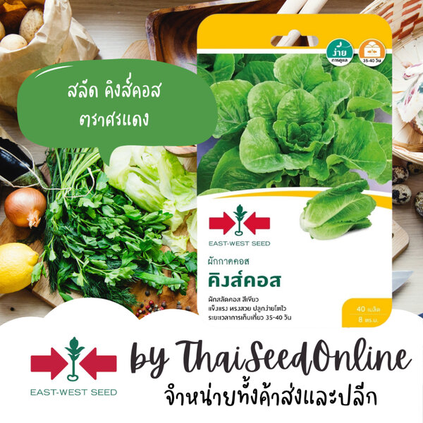Sorndang(ศรแดง) GGEW เมล็ดพันธุ์ สลัดคอส คิงส์คอส 40เมล็ด ตราศรแดง Cos Lettuce
