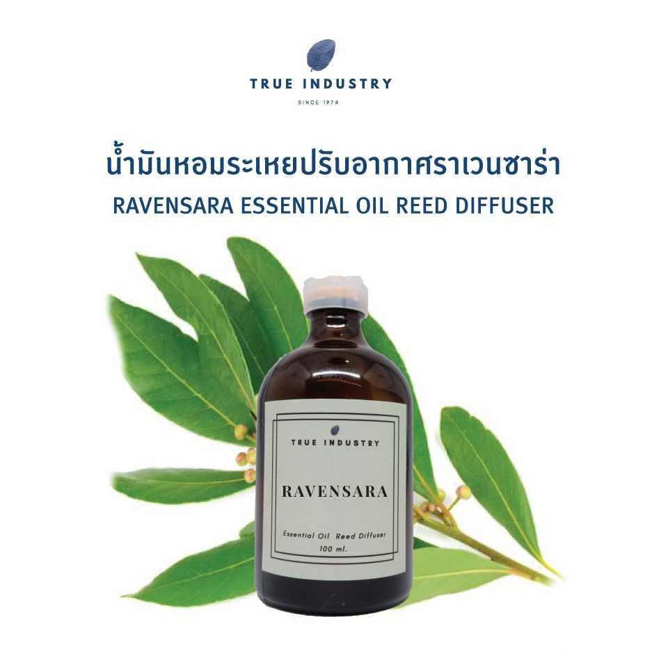 น้ำมันหอมระเหยราเวนซาร่าสำหรับปรับอากาศ (Ravensara Essential Oil Reed Diffuser)