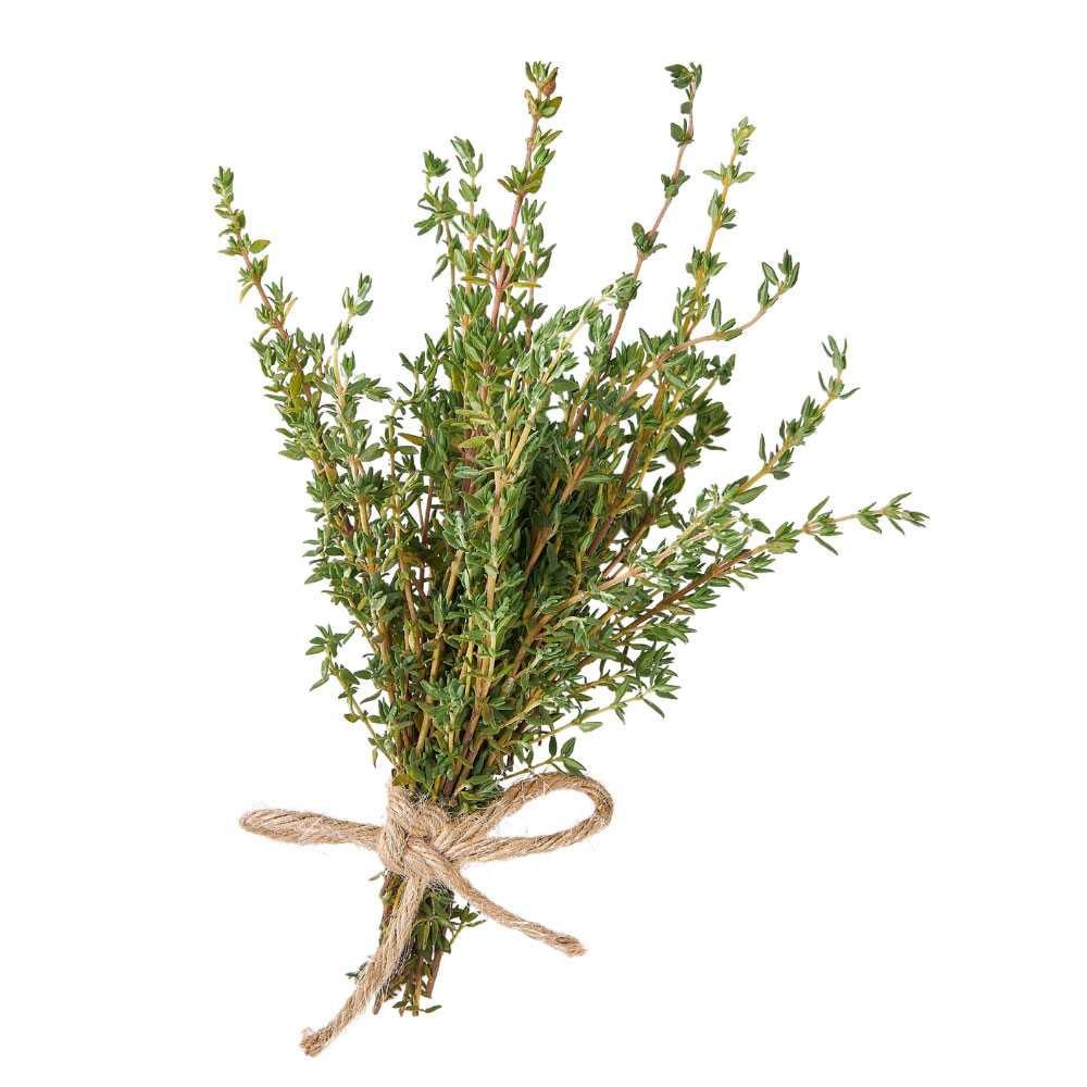 FG04006 ไทม์ Thyme ( 30g )