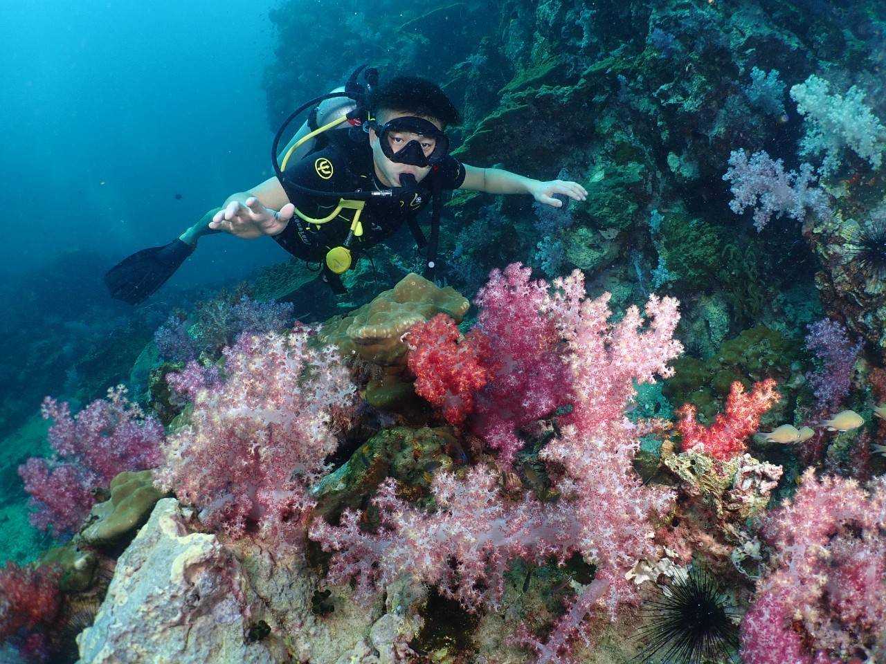 3 Days Scuba Diving Phuket Day trips