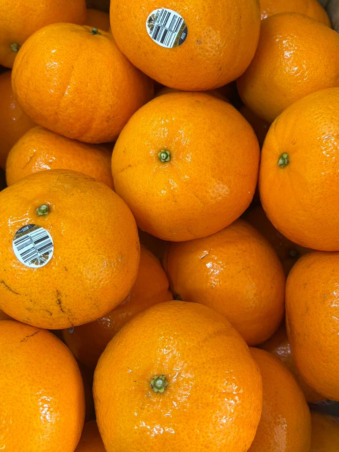 ส้มแมนดาริน AUS  5 ผล (Mandarin orange) 239.-/kg.