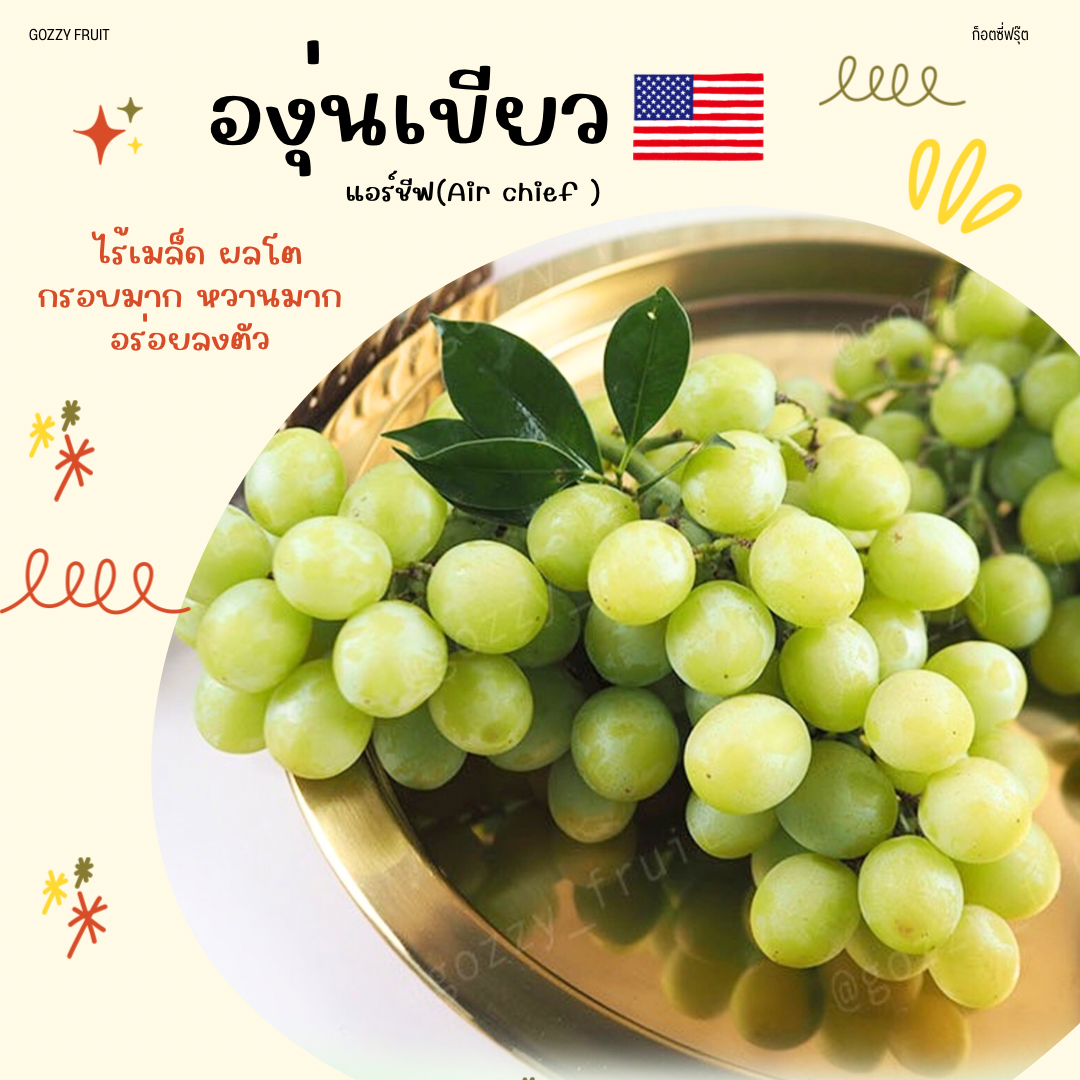 องุ่นเขียวไร้เมล็ดอเมริกา