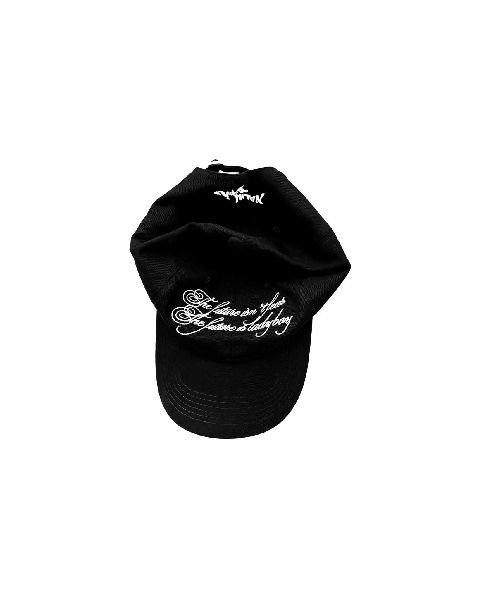 The future isn't fear, The future is Ladyboy Cap
