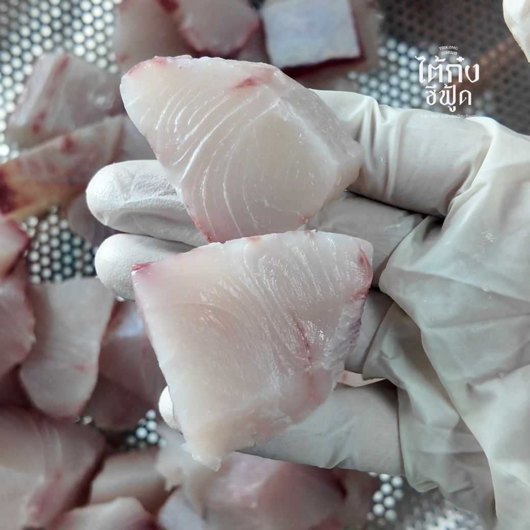 🐟 ปลาช่อนทะเล ปลาเนื้อแน่น หนึบ เด้งกรอบ สู้ฟัน ทานเป็นซาซิมิได้ - ไต้ก๋ง ซีฟู้ด