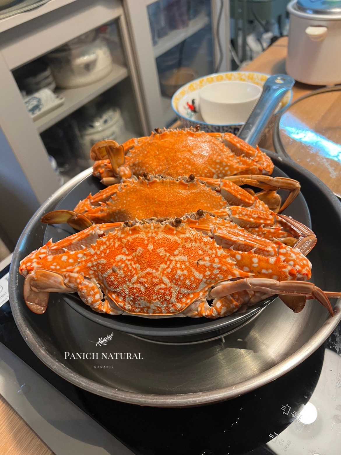 ปูม้านึ่ง 🦀 ปูทะเลหลังเกาะช้าง จ.ตราด