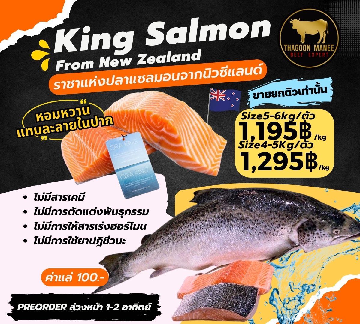 Pre-order king salmon(มี2size)
