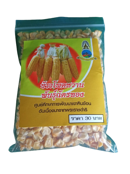 เมล็ดข้าวโพดหวาน พันธุ์ฉัตรทอง