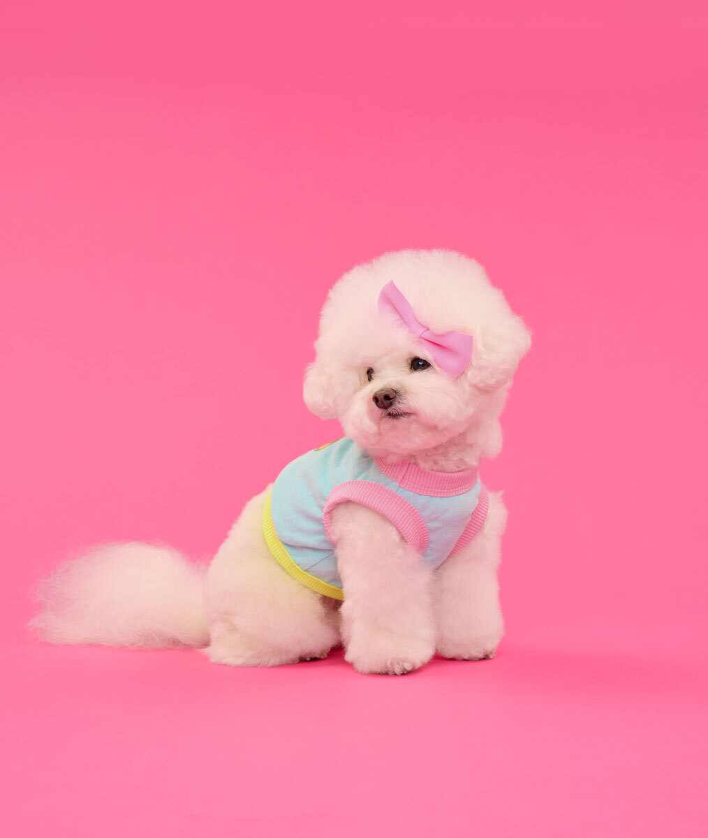 Comocomo-(SM)Love bear