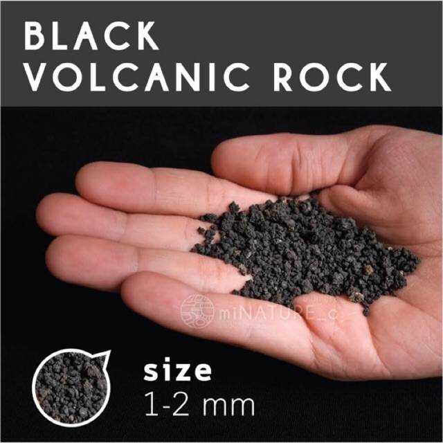 หินภูเขาไฟดำ (Black Volcanic Rock)