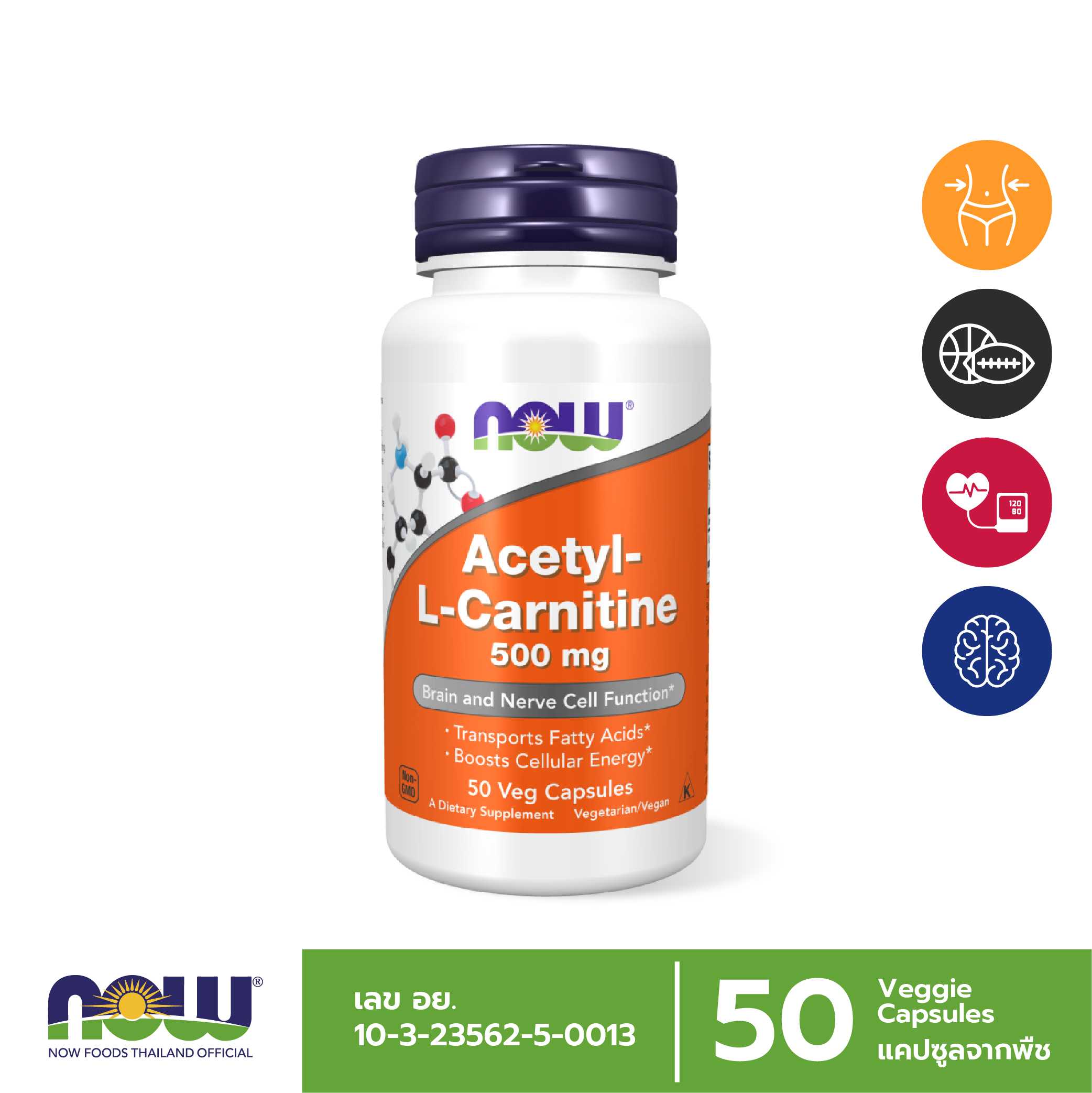 Acetyl-L-Carnitine 500 mg 50 Capsules กระตุ้นการเผาผลาญไขมัน บำรุงสมอง หัวใจ