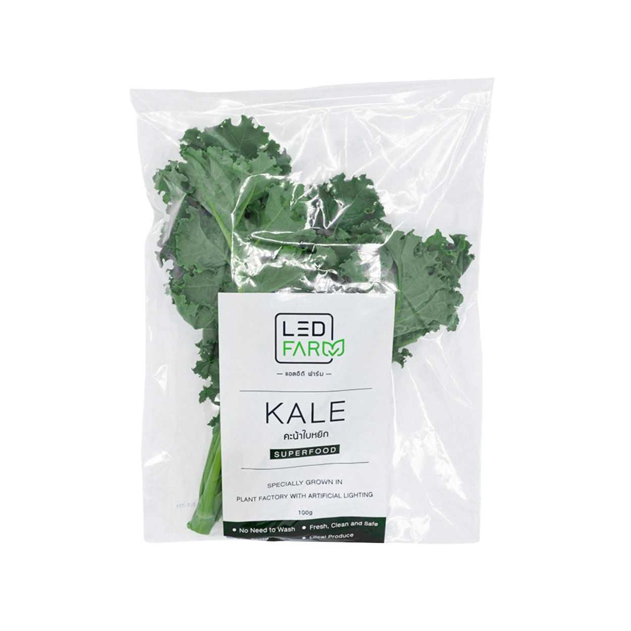 คะน้าใบหยิก Curly Kale 100 g แพ็ค 3