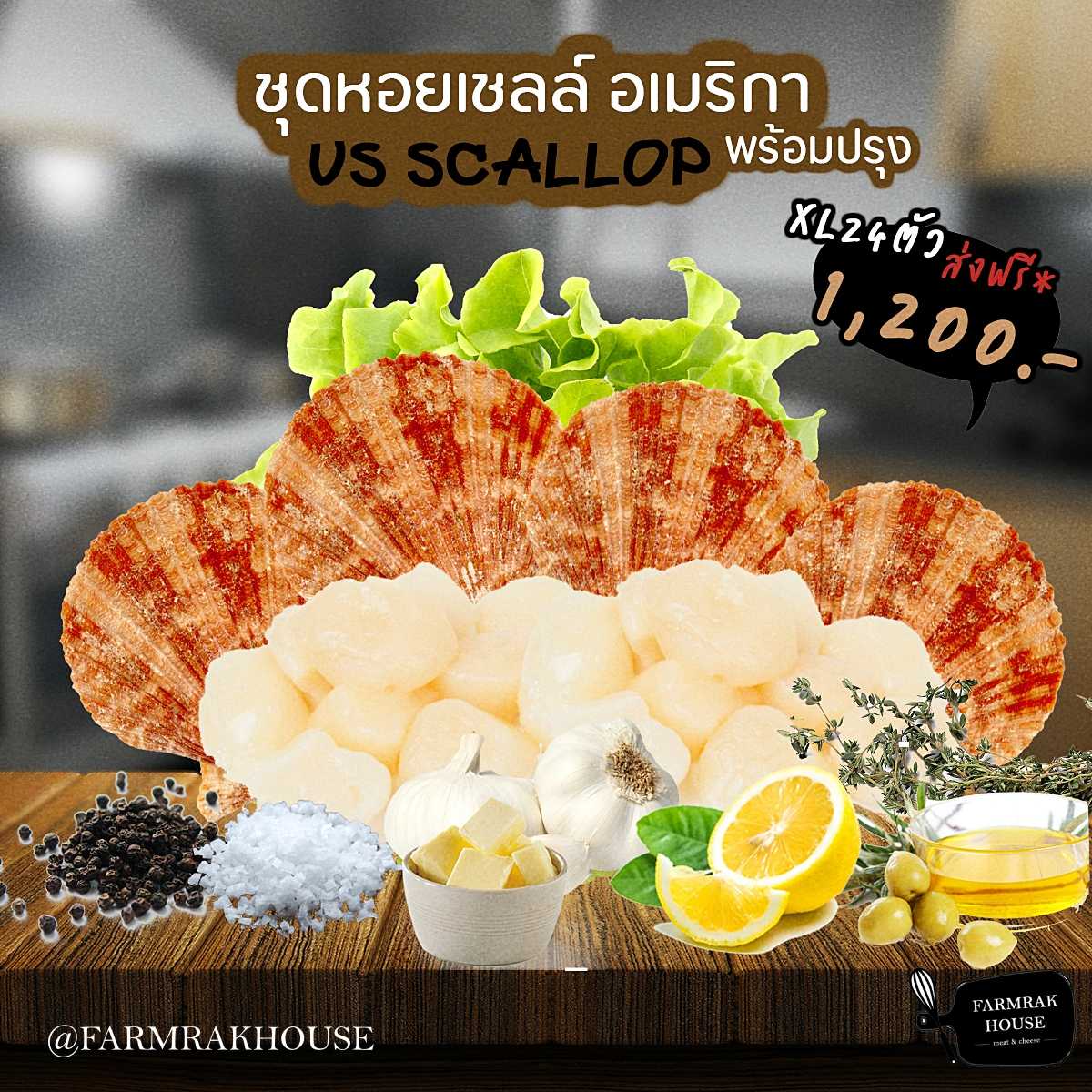 ชุด Scallop USA นำเข้า  1,200.-