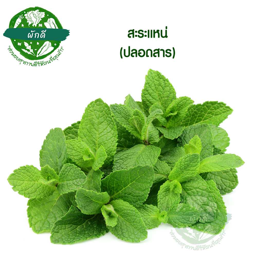 สะระแหน่ (ปลอดสาร)  100  กรัม