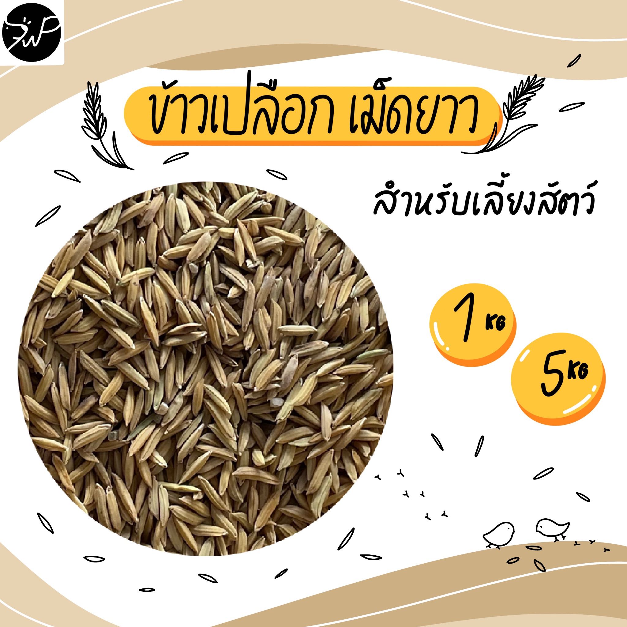 (1กก./5กก.) ข้าวเปลือกไก่ ข้าวไก่ ข้าวเปลือกสำหรับเลี้ยงสัตว์ 