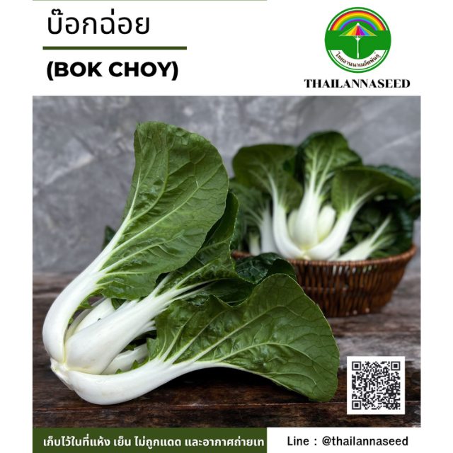 บ๊อกฉ่อย ( ขนาด 10 กรัม ) รหัสสินค้า 5014