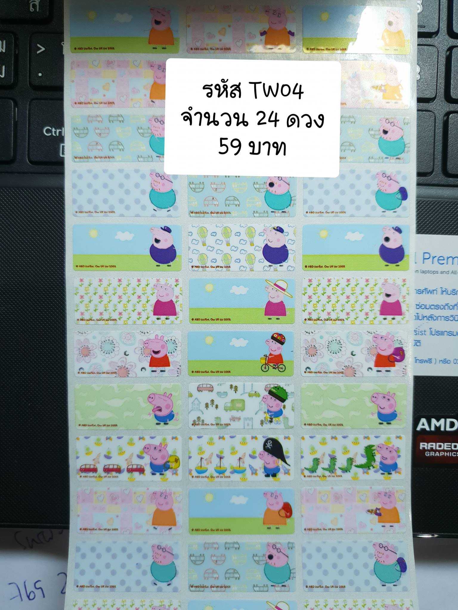 TW04 Peppa Pig