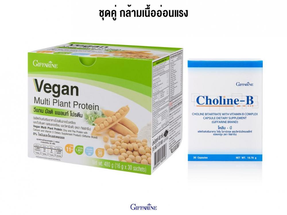 วีแกนโปรตีน โคลีนบี กิฟฟารีน ชุดคู่ ดูแลกล้ามเนื้ออ่อนแรง ALS อาหารเสริมกล้ามเนื้ออ่อนแรง