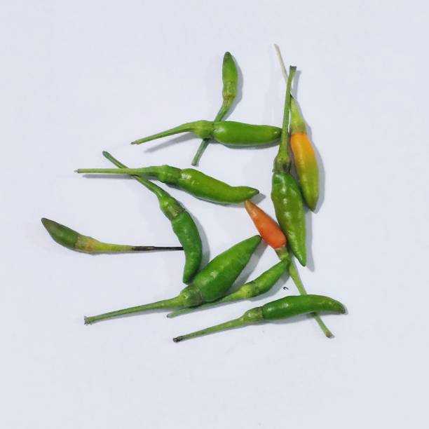 พริกขี้หนู