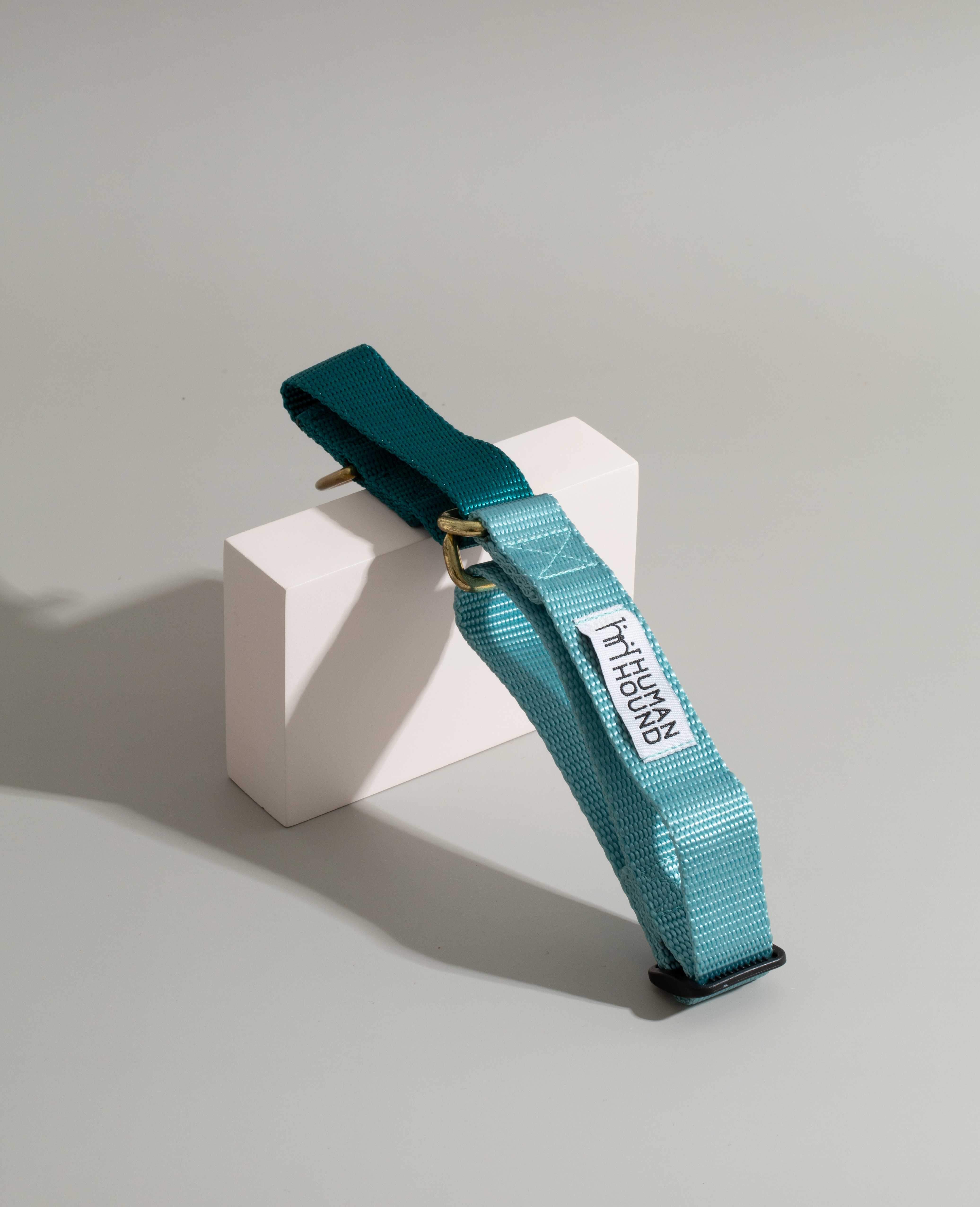 ปลอกคอ Martingale Collar - Turquoise x Baby Blue