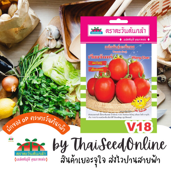 Advance Seeds(ตราตะวันต้นกล้า) ADVOP ซฟ เมล็ดพันธุ์ มะเขือเทศ เวียงจันทร์ ตราตะวันต้นกล้า V18