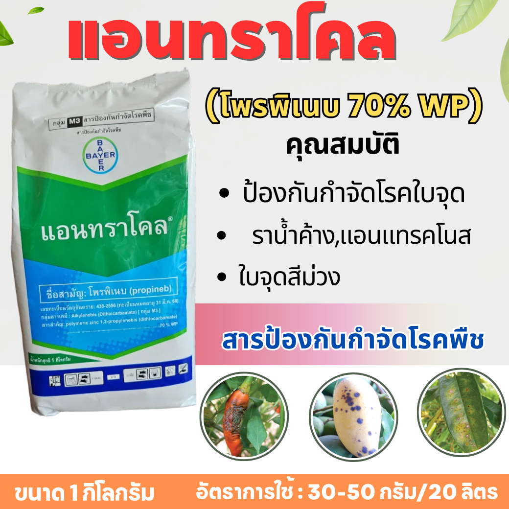 แอนทราโคล 1 กิโลกรัม โพรพิเนบ สารป้องกัน กำจัดรา พืชคุณภาพสูง เชื้อรา สารป้องกัน กำจัดเชื้อรา