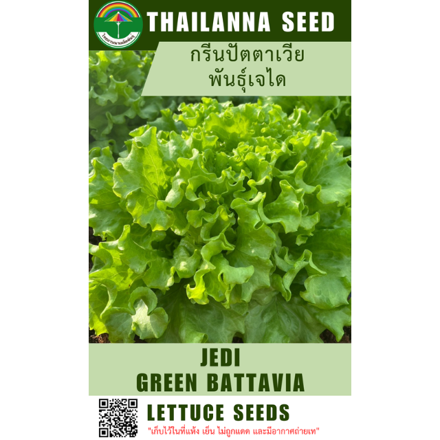 กรีนปัตตาเวีย พันธุ์เจได ( ขนาด 10 กรัม ) รหัสสินค้า 1028