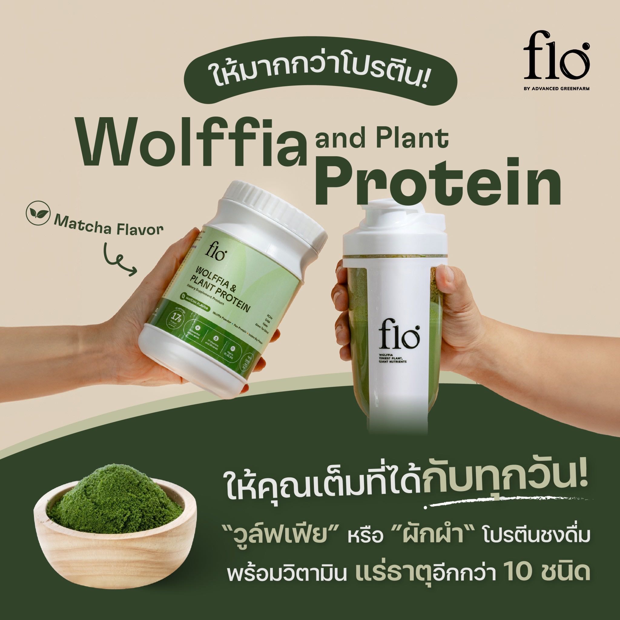 โปรตีนผำ รสชาเขียว flo Wolffia and Plant Protein Matcha