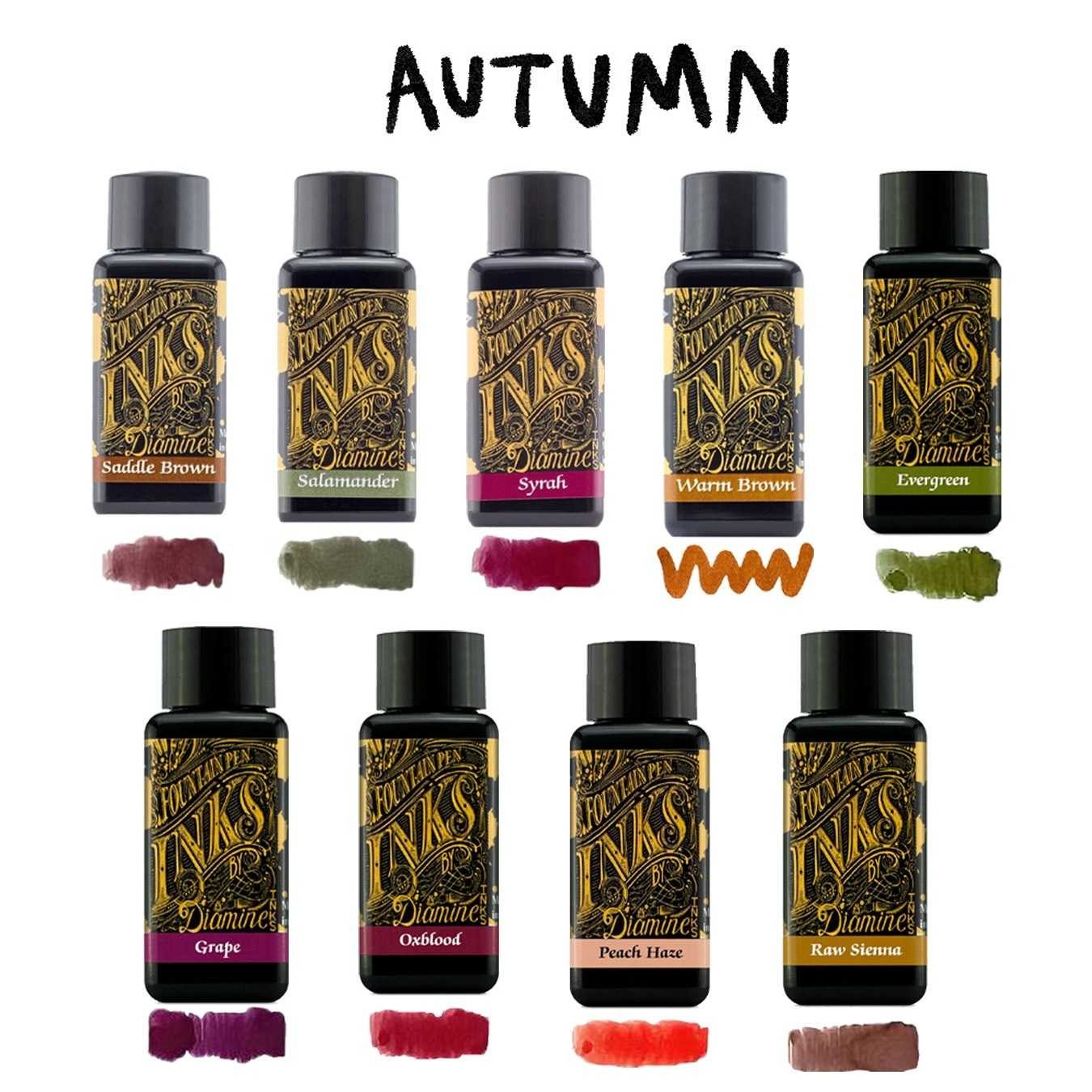 DIAMINE Fountain Pen Ink Autumn Tone หมึกขวด Diamine ความจุ 30ml